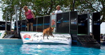 dock dogs competition