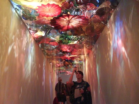 dale chihuly exhibit