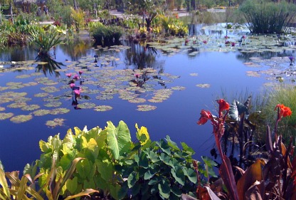 botanical gardens in florida