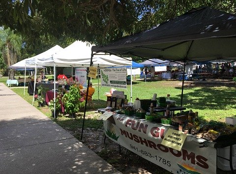 alliance for the arts green market