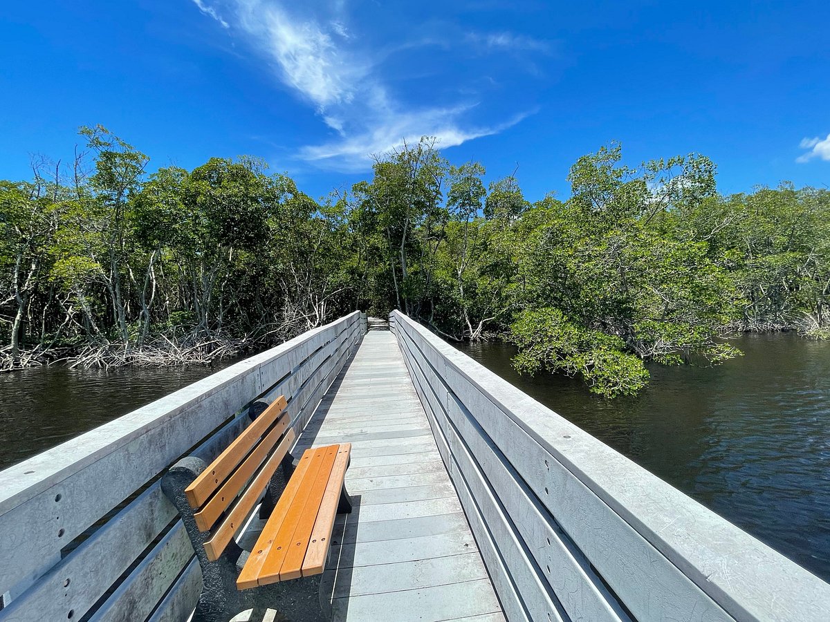 Four Mile Cove Ecological Preserve Boardwalk