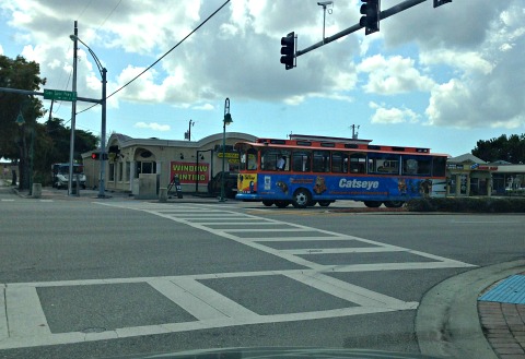 cape coral trolley