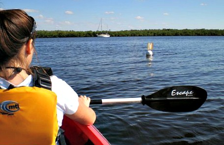 kayaking in cape coral